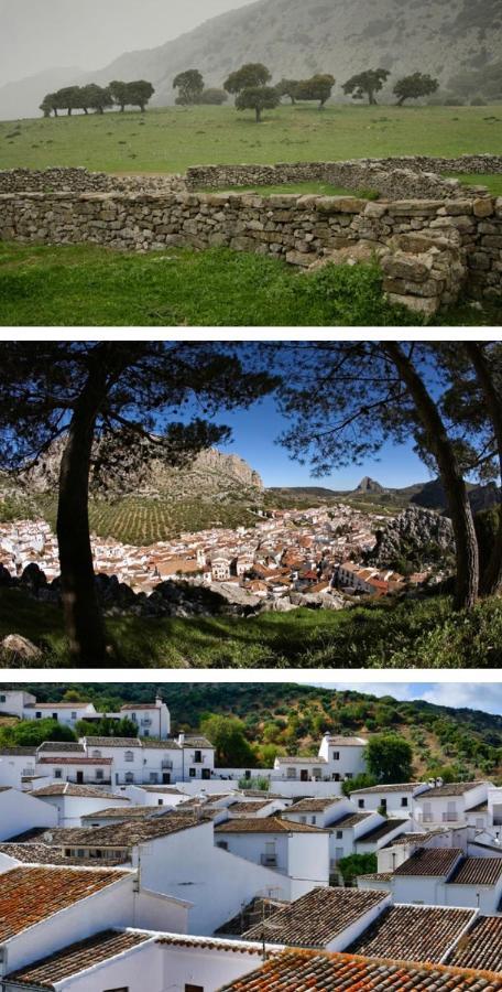Rural Palacete De Manara Hotel 3*